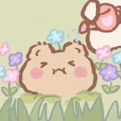 天空体育中文版截图